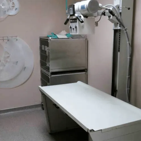 Imaging machine and table at Palm Glen Animal Hospital